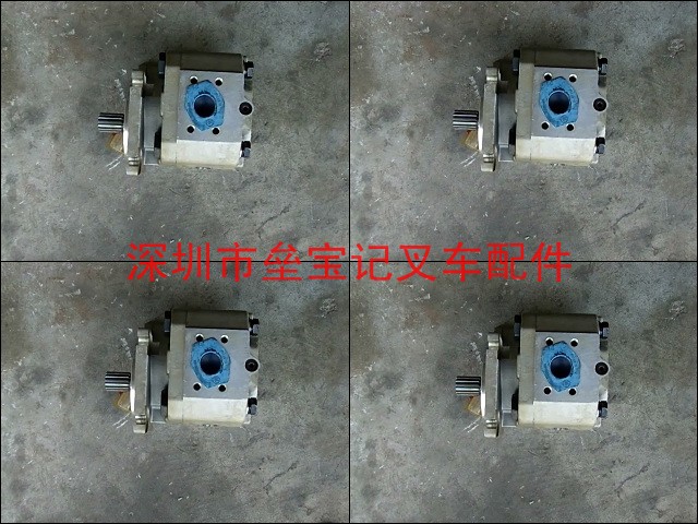 8吨齿轮泵