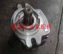 合力齿轮泵