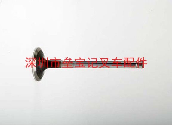 进气门